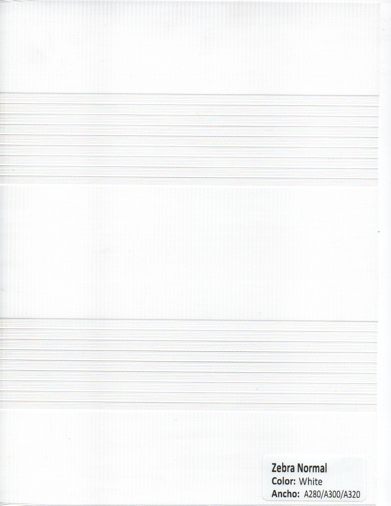 Zebra Normal White